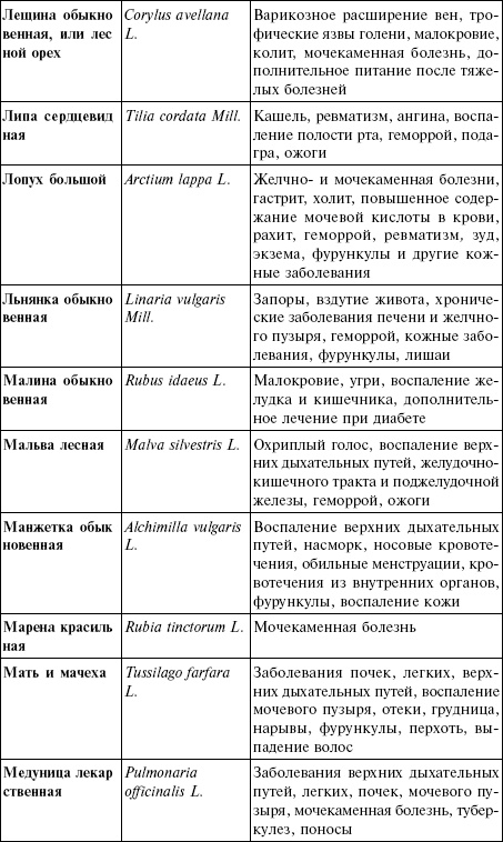 Иллюстрация к книге — Лечебные чаи, сборы, настои [img_18.jpg]