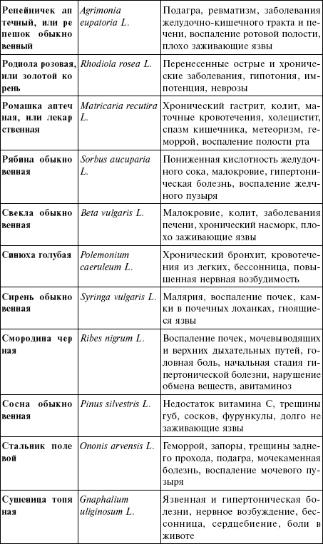 Иллюстрация к книге — Лечебные чаи, сборы, настои [img_21.jpg]