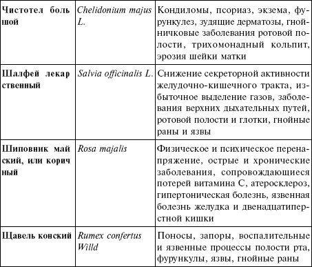 Иллюстрация к книге — Лечебные чаи, сборы, настои [img_23.jpg]