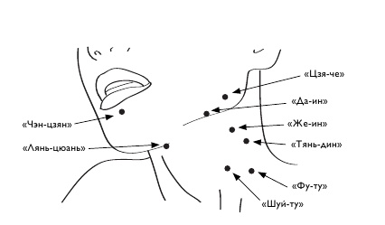 Иллюстрация к книге — Золотой метод стройности [autogen_ebook_id21.jpg]