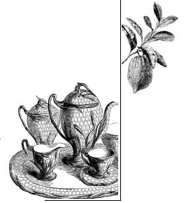 Иллюстрация к книге — Шоколадная диета и косметика [i_008.jpg]