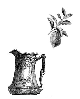 Иллюстрация к книге — Шоколадная диета и косметика [i_014.jpg]