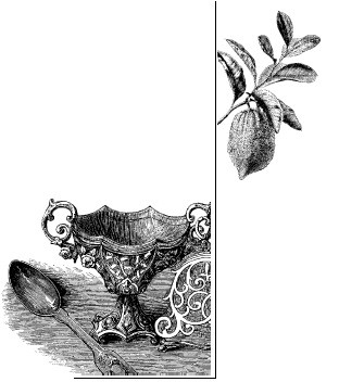 Иллюстрация к книге — Шоколадная диета и косметика [i_025.jpg]