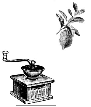Иллюстрация к книге — Шоколадная диета и косметика [i_053.jpg]