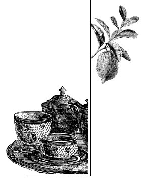 Иллюстрация к книге — Шоколадная диета и косметика [i_071.jpg]