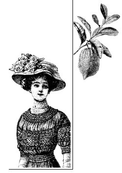 Иллюстрация к книге — Шоколадная диета и косметика [i_106.jpg]