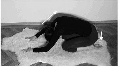 Иллюстрация к книге — Лечение позвоночника. Научитесь жить без боли в спине [_35_fmt.jpg]