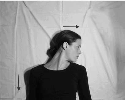 Иллюстрация к книге — Лечение позвоночника. Научитесь жить без боли в спине [_41_fmt.jpg]