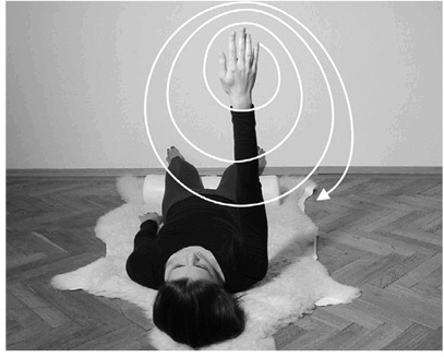 Иллюстрация к книге — Лечение позвоночника. Научитесь жить без боли в спине [_67_fmt.jpg]