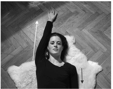 Иллюстрация к книге — Лечение позвоночника. Научитесь жить без боли в спине [_70_fmt.jpg]