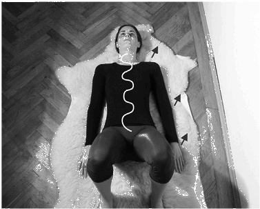 Иллюстрация к книге — Лечение позвоночника. Научитесь жить без боли в спине [_72_fmt.jpg]