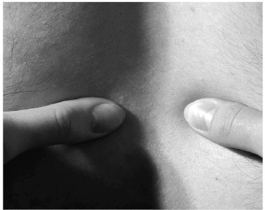 Иллюстрация к книге — Лечение позвоночника. Научитесь жить без боли в спине [_86_fmt.jpg]