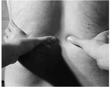 Иллюстрация к книге — Лечение позвоночника. Научитесь жить без боли в спине [_90_fmt.jpg]