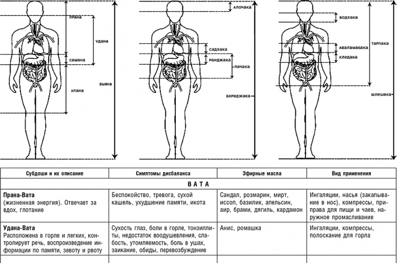 Иллюстрация к книге — Аюрведа. Траволечение и ароматерапия [i_018.jpg]