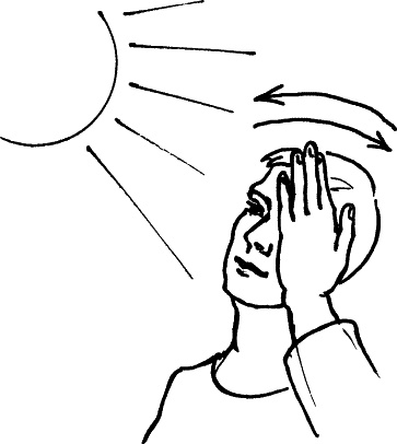 Иллюстрация к книге — Секреты людей, которые хорошо видят [autogen_ebook_id10.jpg]