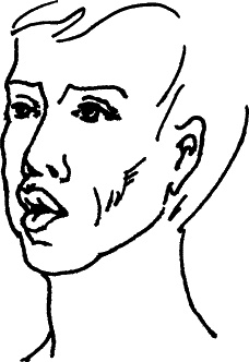 Иллюстрация к книге — Секреты людей, которые хорошо видят [autogen_ebook_id2.jpg]