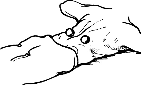 Иллюстрация к книге — Секреты людей, которые хорошо видят [autogen_ebook_id21.jpg]