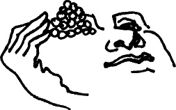 Иллюстрация к книге — Секреты людей, которые хорошо видят [autogen_ebook_id27.jpg]