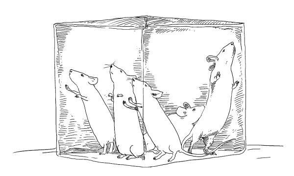 Иллюстрация к книге — Криптографические приключения. Таинственные шифры и математические задачи [i_001.jpg]