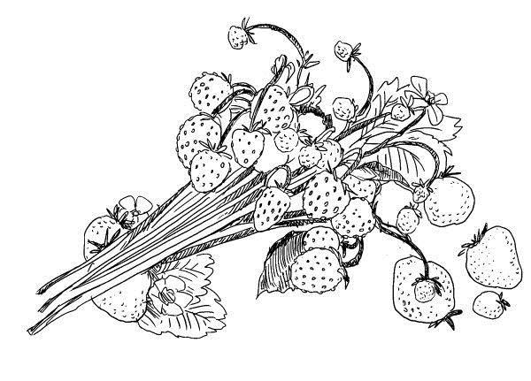 Иллюстрация к книге — Криптографические приключения. Таинственные шифры и математические задачи [i_038.jpg]