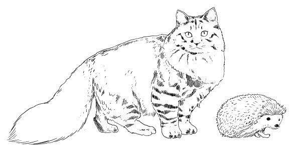 Иллюстрация к книге — Криптографические приключения. Таинственные шифры и математические задачи [i_049.jpg]