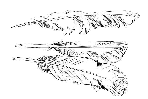 Иллюстрация к книге — Криптографические приключения. Таинственные шифры и математические задачи [i_057.jpg]