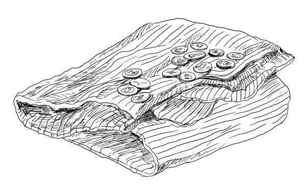 Иллюстрация к книге — Криптографические приключения. Таинственные шифры и математические задачи [i_062.jpg]