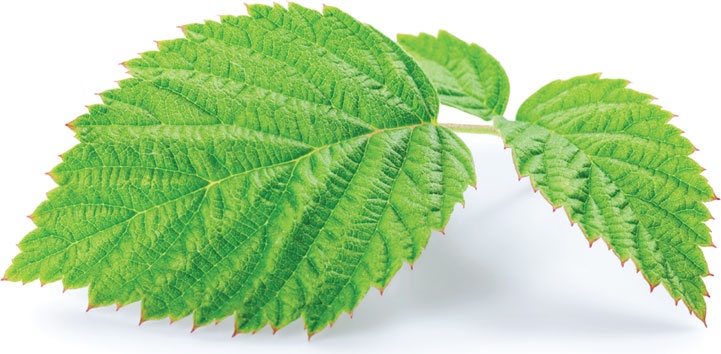 Иллюстрация к книге — Еда, меняющая жизнь. Откройте тайную силу овощей, фруктов, трав и специй [_76.jpg]