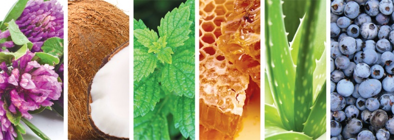 Иллюстрация к книге — Еда, меняющая жизнь. Откройте тайную силу овощей, фруктов, трав и специй [_82.jpg]