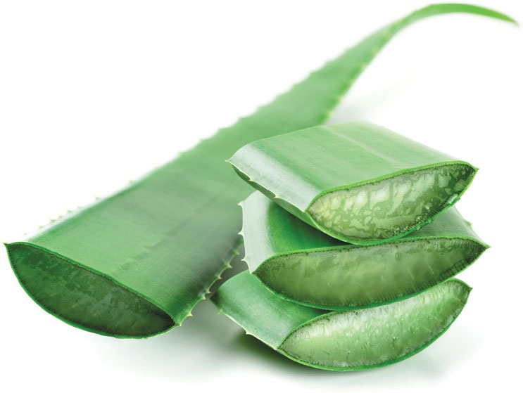 Иллюстрация к книге — Еда, меняющая жизнь. Откройте тайную силу овощей, фруктов, трав и специй [_83.jpg]