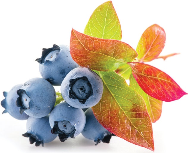 Иллюстрация к книге — Еда, меняющая жизнь. Откройте тайную силу овощей, фруктов, трав и специй [_85.jpg]