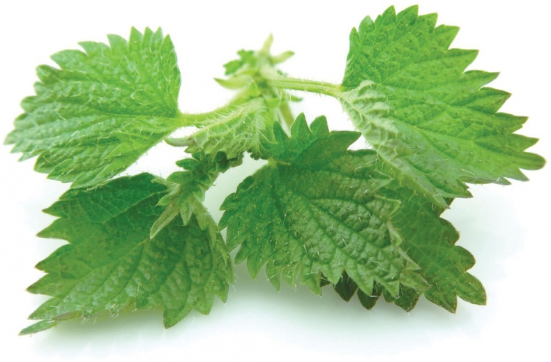 Иллюстрация к книге — Еда, меняющая жизнь. Откройте тайную силу овощей, фруктов, трав и специй [_91.jpg]