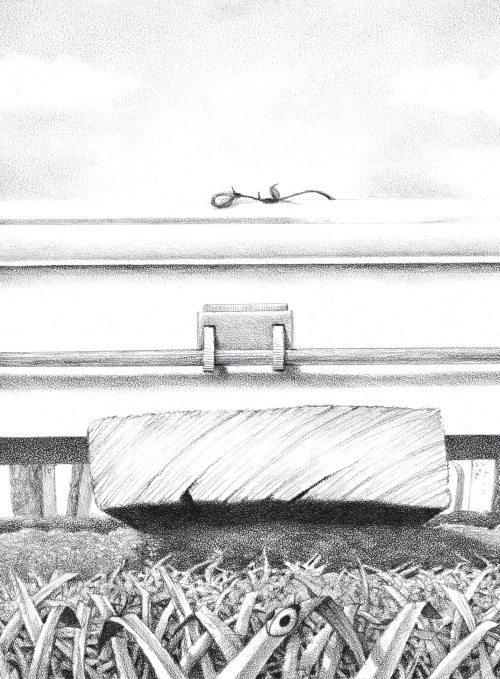 Иллюстрация к книге — Гвенди и ее шкатулка [i_008.jpg]