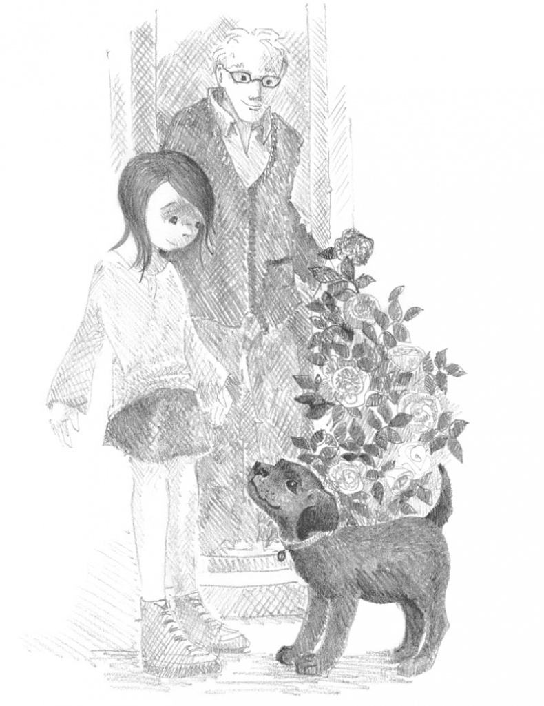 Иллюстрация к книге — Щенок Кнопочка, или Умная малышка [block_001144139.jpg_1.jpg]