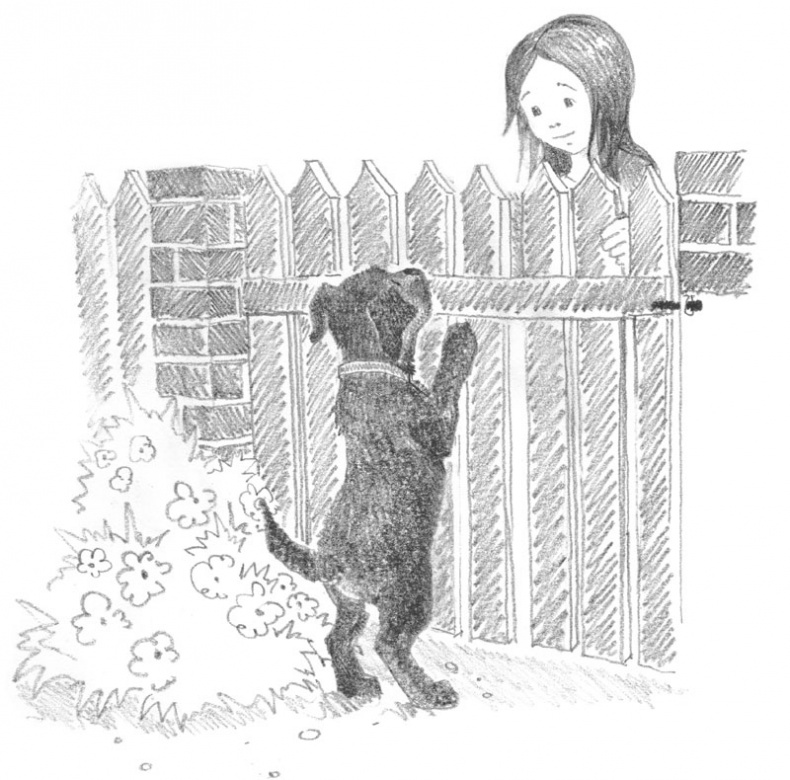 Иллюстрация к книге — Щенок Кнопочка, или Умная малышка [block_00114420.jpg]