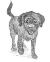 Иллюстрация к книге — Щенок Кнопочка, или Умная малышка [block_0011447.jpg_5.jpg]