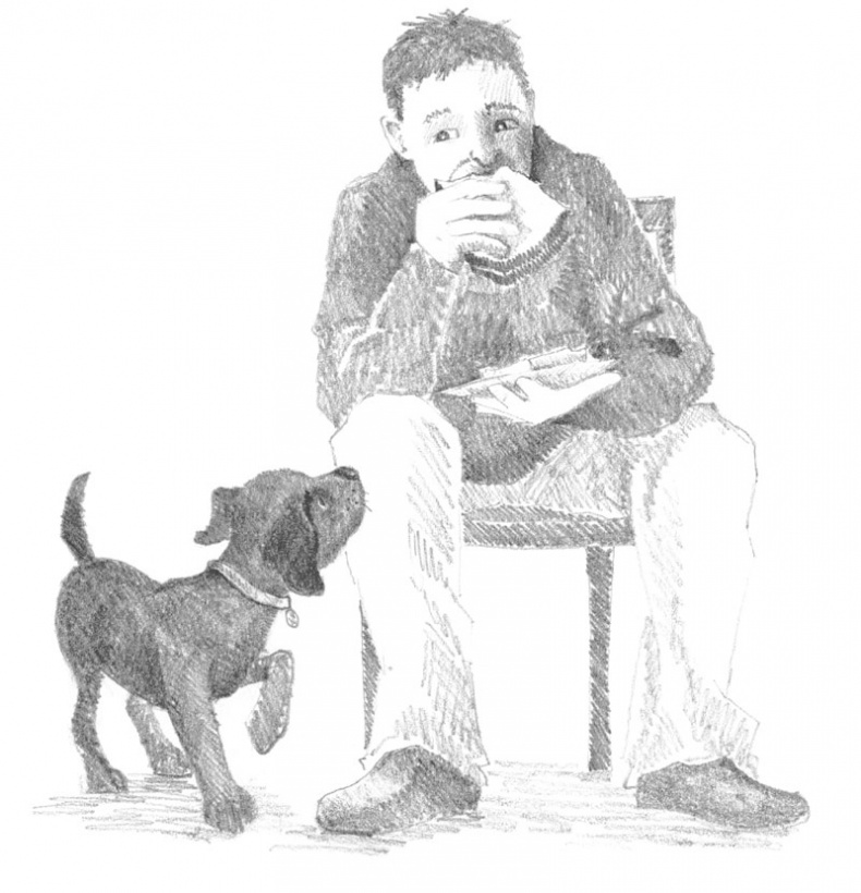 Иллюстрация к книге — Щенок Кнопочка, или Умная малышка [block_00114491.jpg]