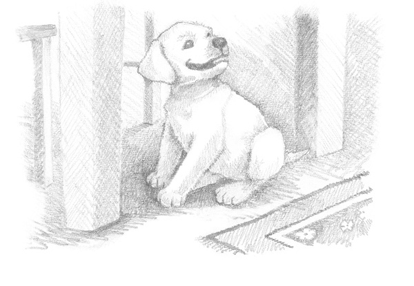 Иллюстрация к книге — Щенок Сэм, или Украденное счастье [block_00114441.jpg]