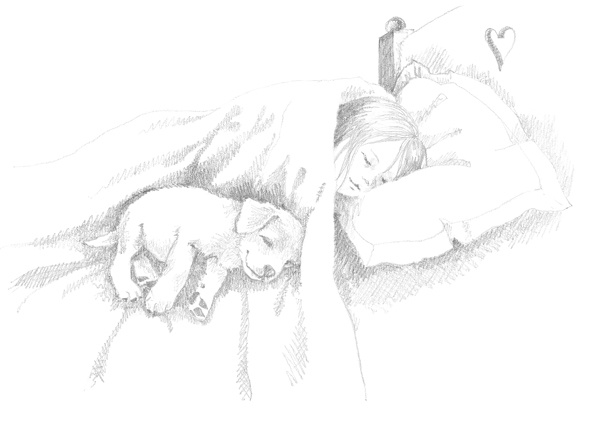 Иллюстрация к книге — Щенок Сэм, или Украденное счастье [block_00114469.jpg]