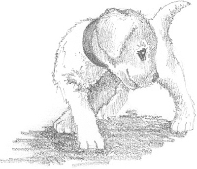 Иллюстрация к книге — Щенок Сэм, или Украденное счастье [block_0011447.jpg_1.jpg]