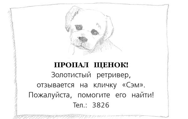 Иллюстрация к книге — Щенок Сэм, или Украденное счастье [block_00114485.jpg]