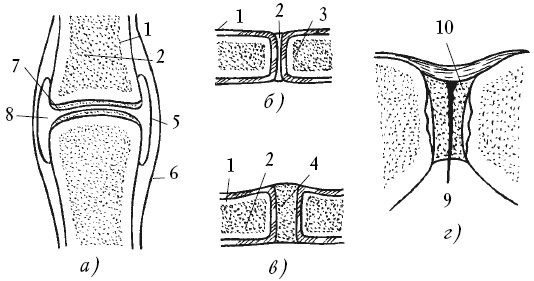 Иллюстрация к книге — Лечение спины и суставов. Новейшие рекомендации. Методы лечения. Советы специалистов [i_001.jpg]