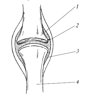 Иллюстрация к книге — Лечение спины и суставов. Новейшие рекомендации. Методы лечения. Советы специалистов [i_002.jpg]