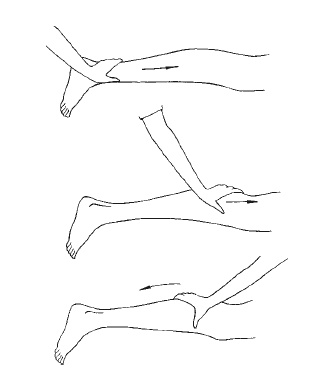 Иллюстрация к книге — Лечение спины и суставов. Новейшие рекомендации. Методы лечения. Советы специалистов [i_016.jpg]