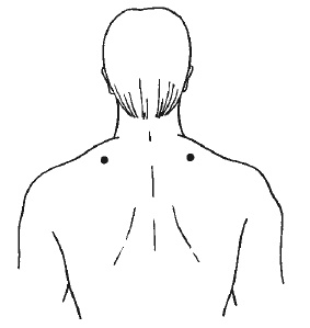 Иллюстрация к книге — Лечение спины и суставов. Новейшие рекомендации. Методы лечения. Советы специалистов [i_026.jpg]