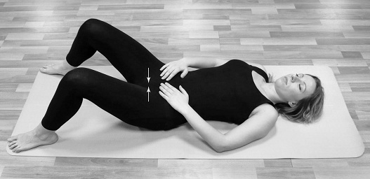 Иллюстрация к книге — Интимное здоровье женщины [pic_5.jpg]