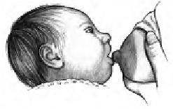 Иллюстрация к книге — Грудное вскармливание. Кормление грудью нужно и ребенку, и маме [i_009.jpg]