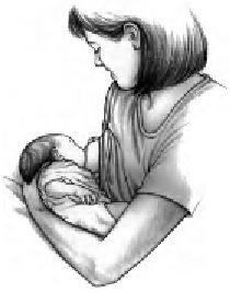 Иллюстрация к книге — Грудное вскармливание. Кормление грудью нужно и ребенку, и маме [i_017.jpg]