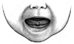 Иллюстрация к книге — Грудное вскармливание. Кормление грудью нужно и ребенку, и маме [i_023.jpg]