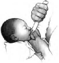 Иллюстрация к книге — Грудное вскармливание. Кормление грудью нужно и ребенку, и маме [i_037.jpg]